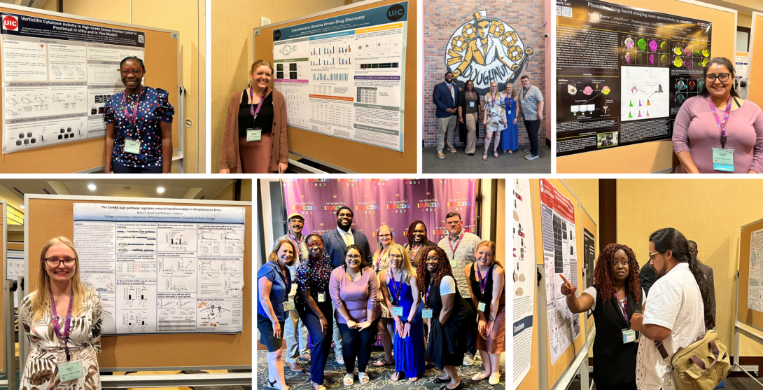 IRACDA Conference Collage